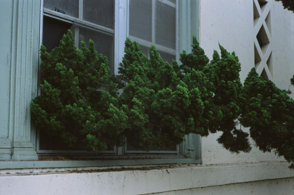immagine per Matthew Smith