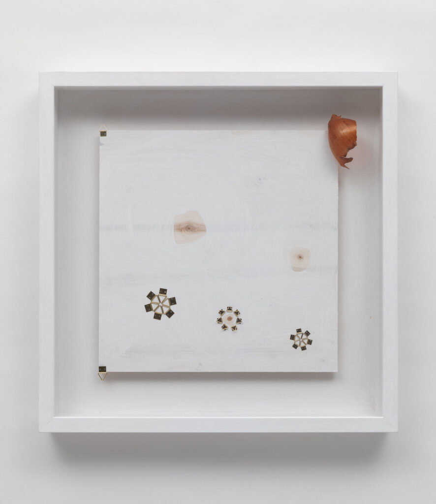 immagine per Bruna Esposito, In teca, 2011, legno, ganci, buccia di cipolla, acrilico / wood, glass, brass hooks, acrylic paint, onion peel, cm 58 x 58 x 8, FL Gallery / Wizard e Studio Stefania Miscetti – Associazione Culturale Mantellate Foto Antonio Maniscalco, courtesy Wizard e Studio Stefania Miscetti