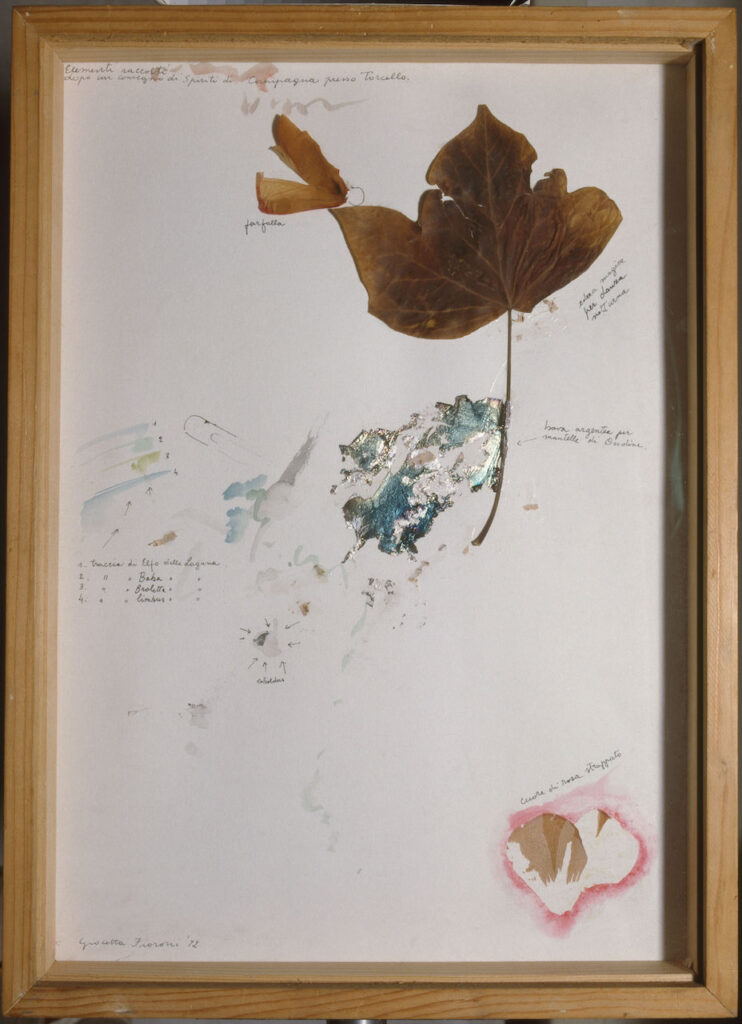immagine per Giosetta Fioroni, Edera magica, 1972, china, acquarello e collage materico su carta / Indian ink, wash and textural collage on paper, cm 52 x 38, Fondazione Goffredo Parise e Giosetta Fioroni Foto Giuseppe Schiavinotto, Roma