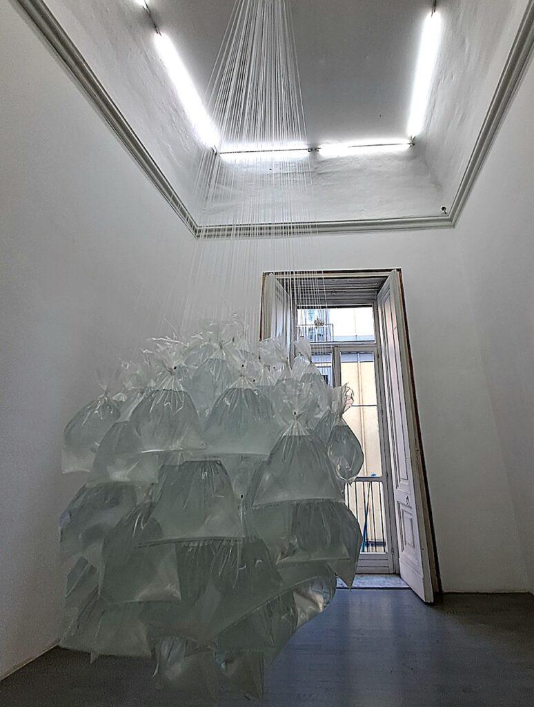 immagine per Michel François da Alfonso Artiaco a Napoli.