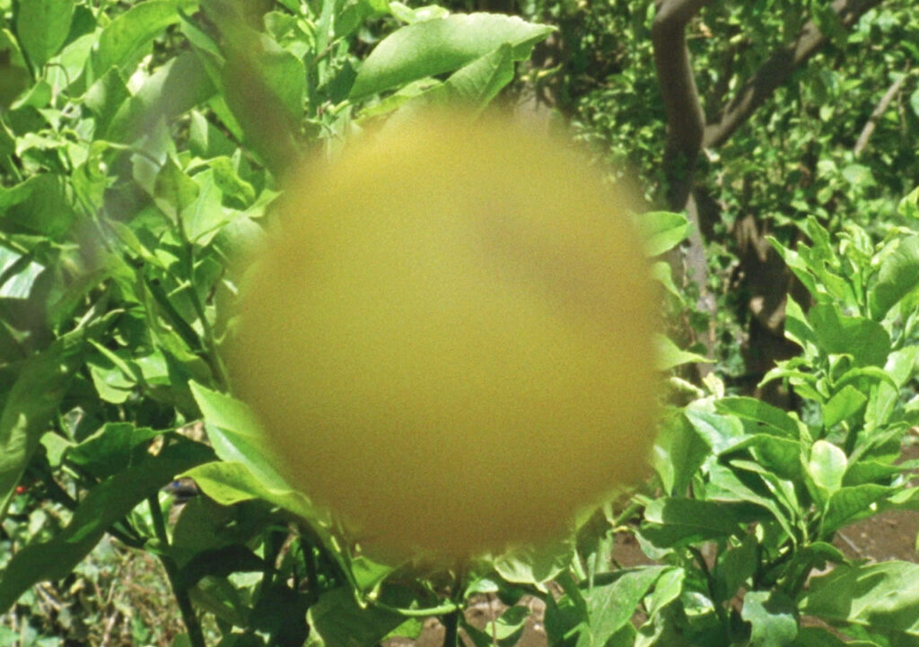 immagine per Renato Leotta, LUCE, 2017 (still da video/video still), film 16 mm riversato su digitale / 16 mm film transferred to digital, 5' loop, 4:3, Courtesy the artist and Sprovieri Gallery