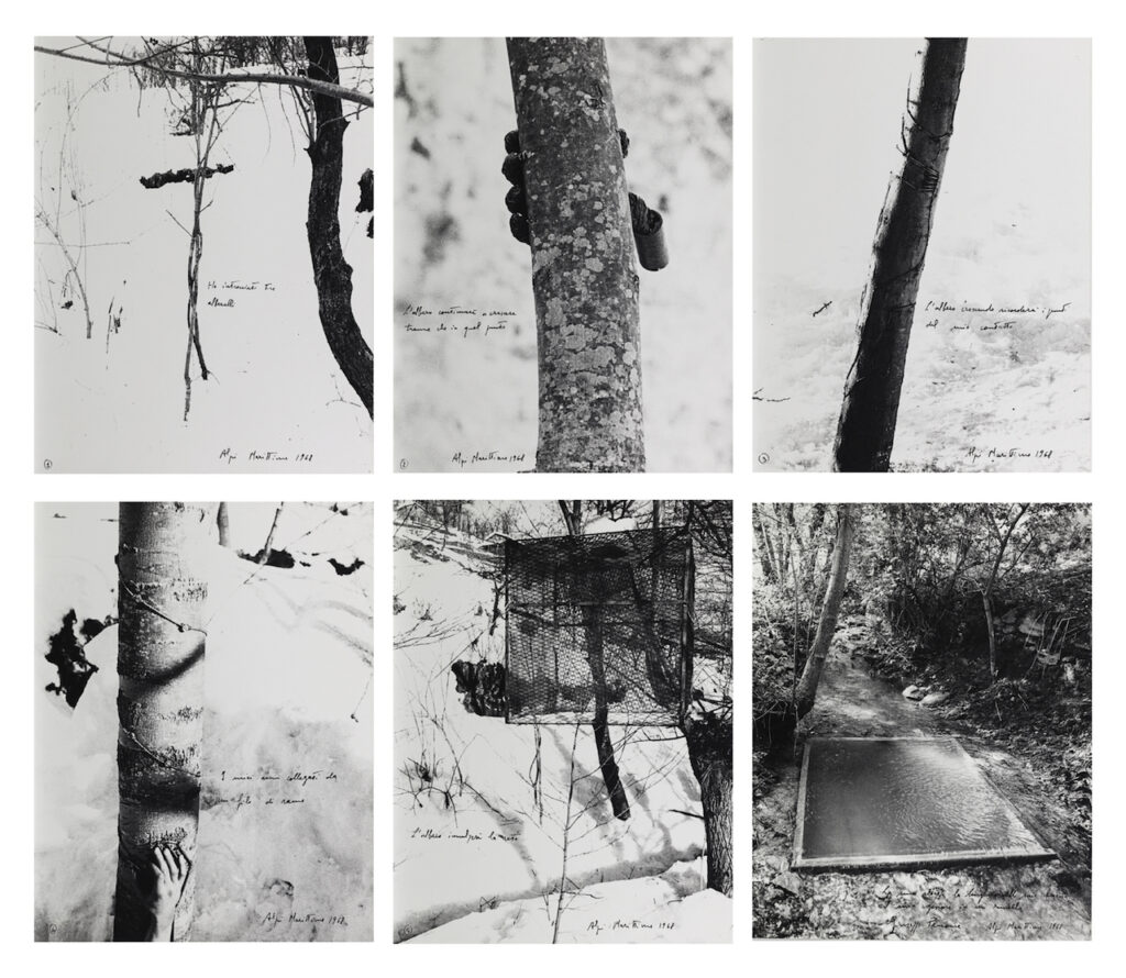 immagine per Giuseppe Penone, Alpi Marittime, 1968, stampa digitale b/n a getto d’inchiostro, sei elementi / b/w inkjet digital print, six elements, cm 72,8 x 53,5 ciascuno/each, Collezione privata© Giuseppe Penone, by SIAE 2023. Foto Archivio Penone