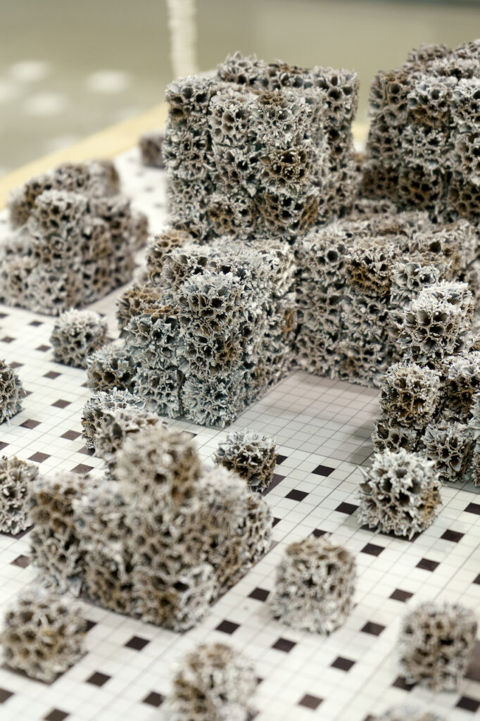 immagine per Michele Guido, Giardino ideale project tappeto di Sierpinski, 2016/2022 (dettaglio) Fondazione Merz, Torino - Lia Rumma Gallery, Milano/Napoli - z2o Sara Zanin, Roma Foto di Filippo Maria Nicoletti - Courtesy Fondazione Merz 35 Alberto Burri, Cretto nero D, 1971, acquaforte e acquatinta su carta / etching and aquatint on paper, cm 65,1 x 95,5, Collezione Ronchini © Fondazione Palazzo Albizzini – Collezione Burri, Città di Castello. Foto Antonio Idini