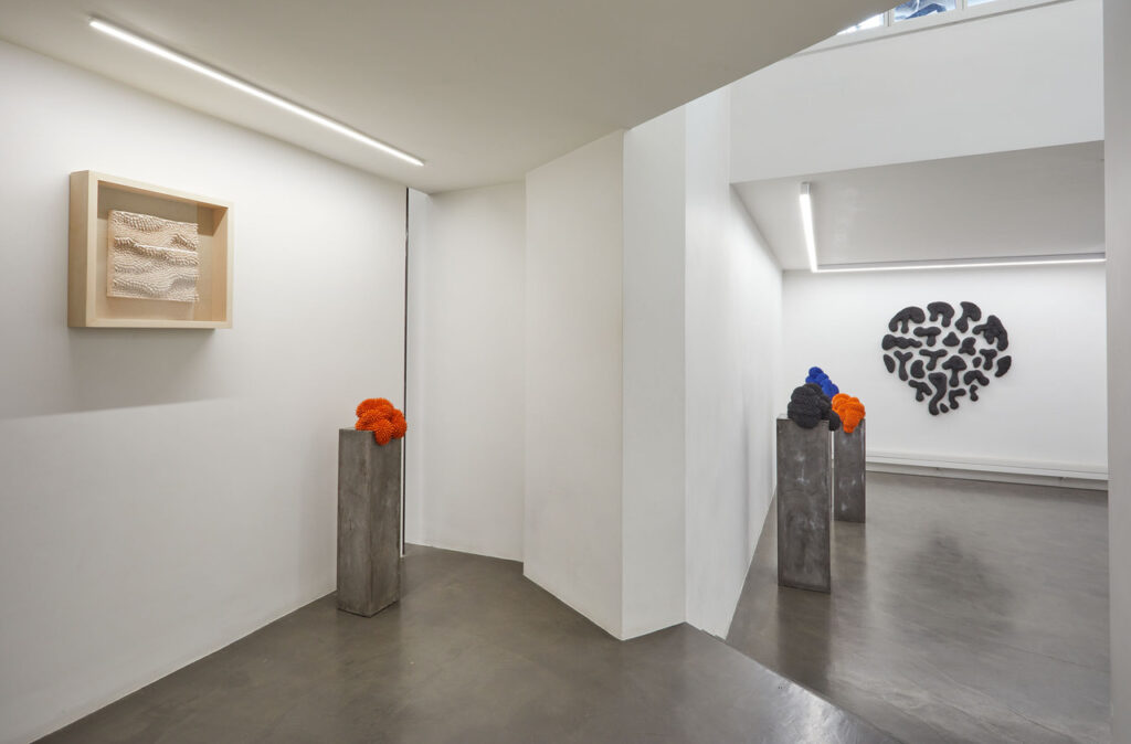 immagine per Andrés Anza, Galleria Anna Marra, Roma, 2023