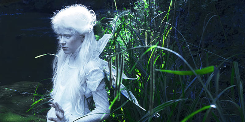 Angelo Cricchi IEROGAMIA art a part of cult(ure)