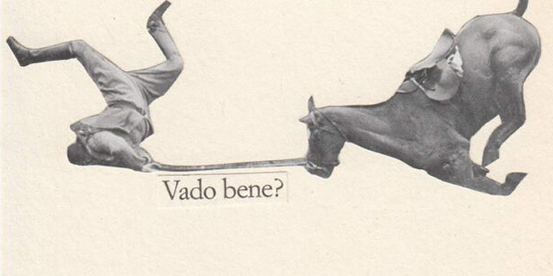 immagine per Festival dei Matti XIII