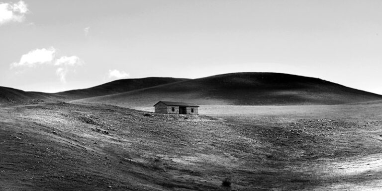 immagine per Stampone natura delle cose