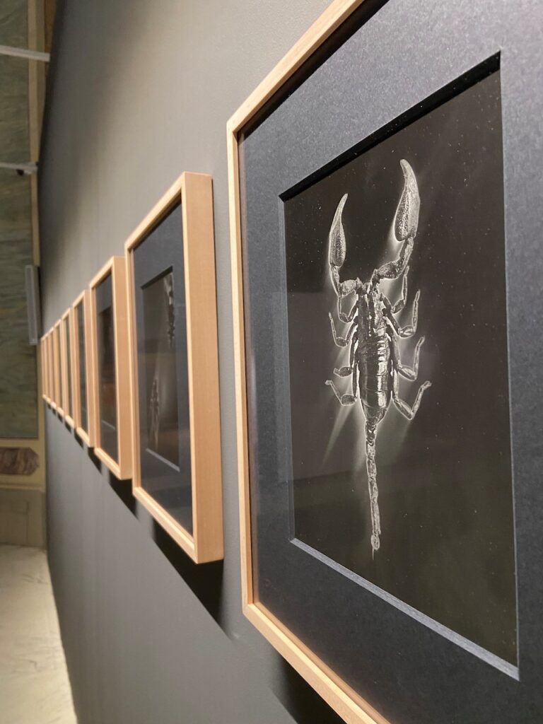 immagine per Foto 10: Stampa ai Sali d’argento su carta opaca Credits: Roberto Civetta