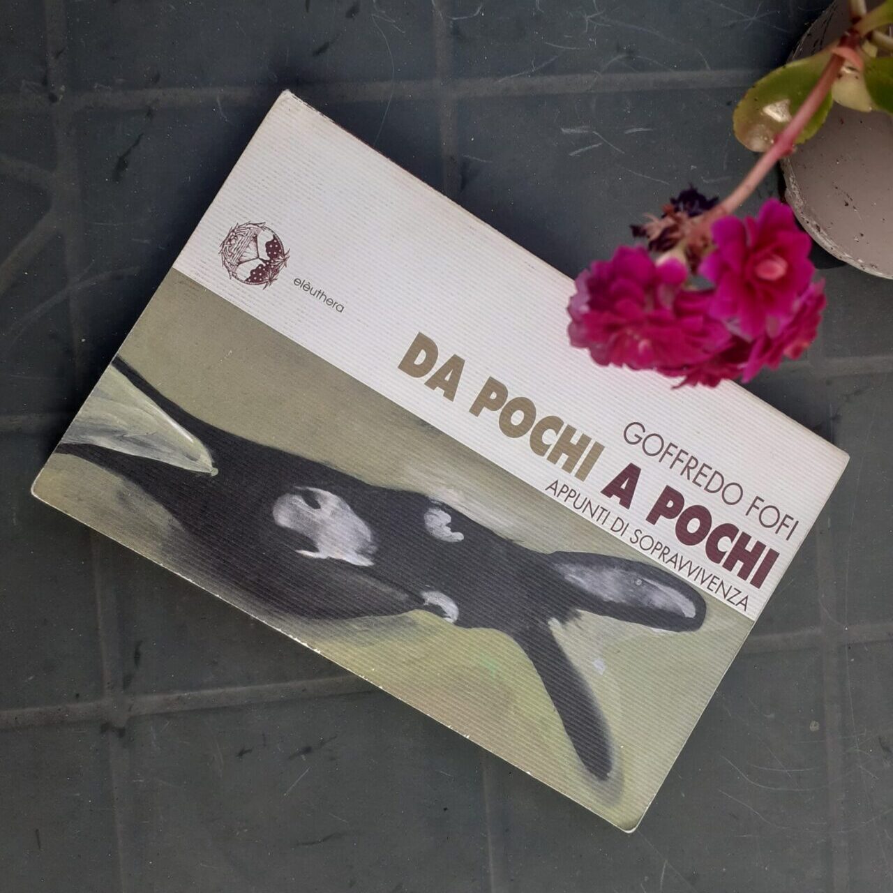 immagine per Da pochi a pochi. Appunti di sopravvivenza di Goffredo Fofi. Per mantenere viva una presenza aperta alla società