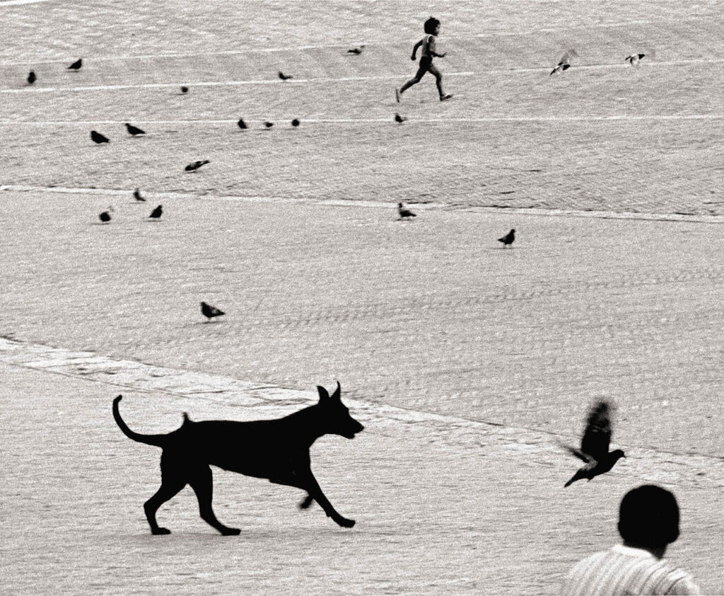 immagine per Siena, 1983 © Gianni Berengo Gardini/Courtesy Fondazione Forma per la Fotografia