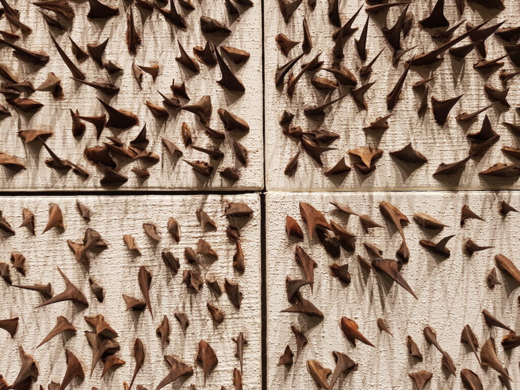 immagine per ArtBasel 2023. Unlimited, Giuseppe Penone (part.), by Gagosian, phLTraversi