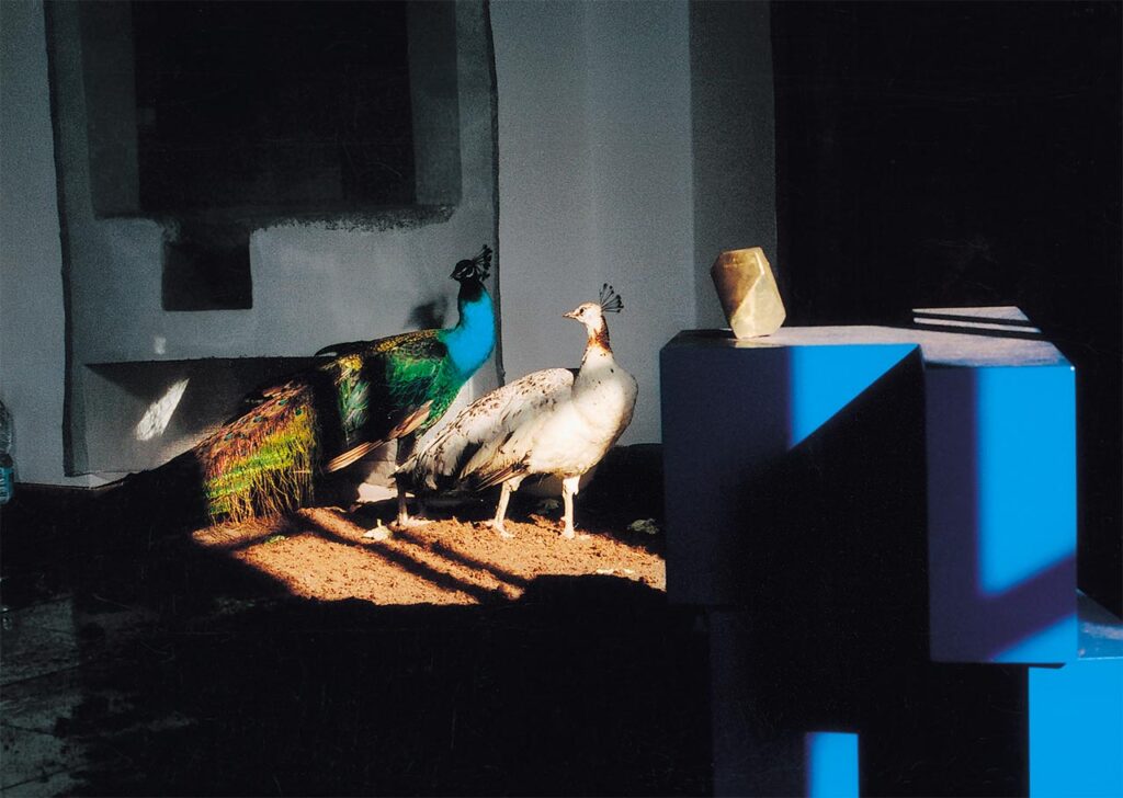 immagine per Azzurro pavone, 2005, Vettor Pisani, ©Fondazione Morra