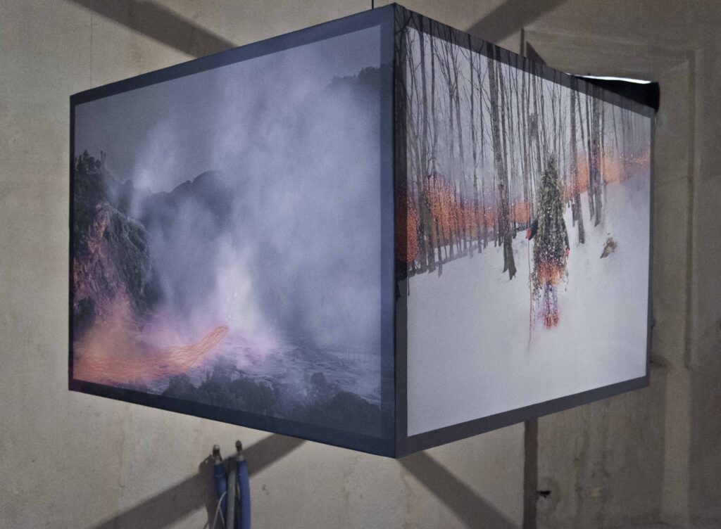 immagine per Fotografia Europea - Reggio Emilia, Alessia Rollo ph. Cristina Villani