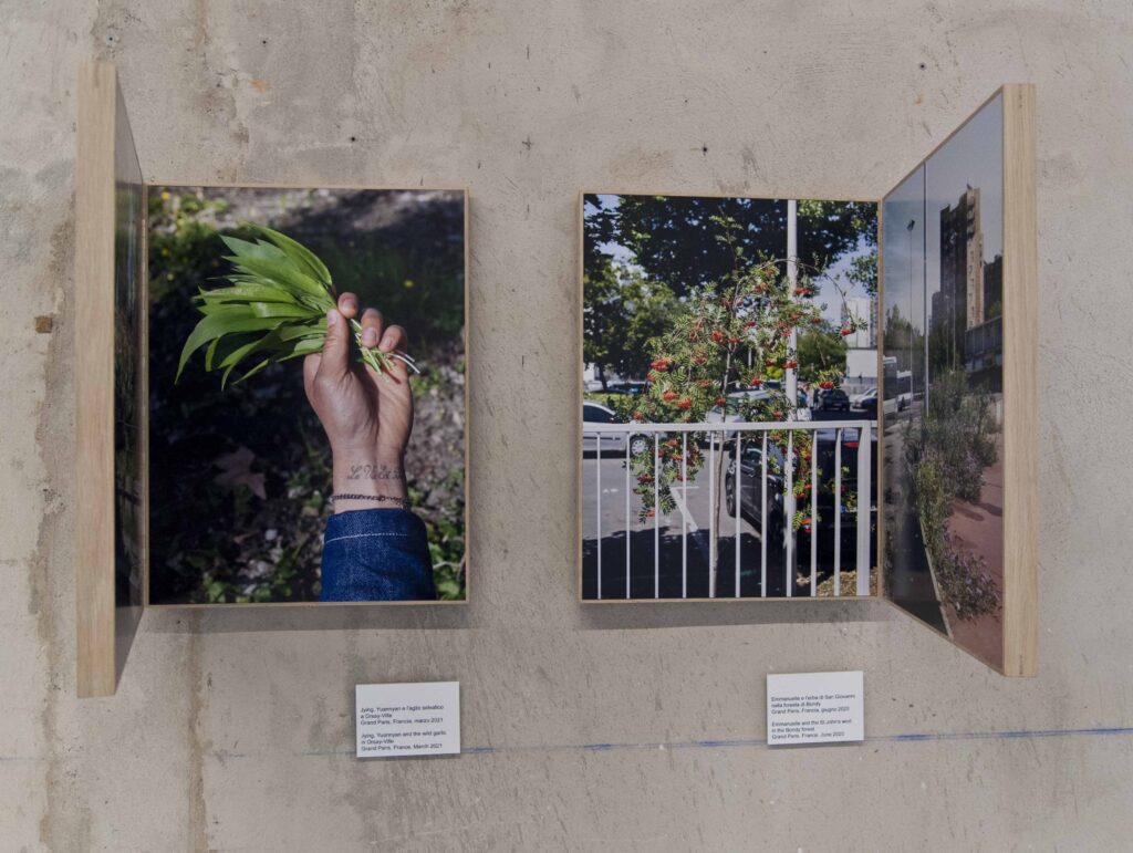 immagine per Fotografia Europea - Reggio Emilia, Geoffroy Mathieu ph. Cristina Villani