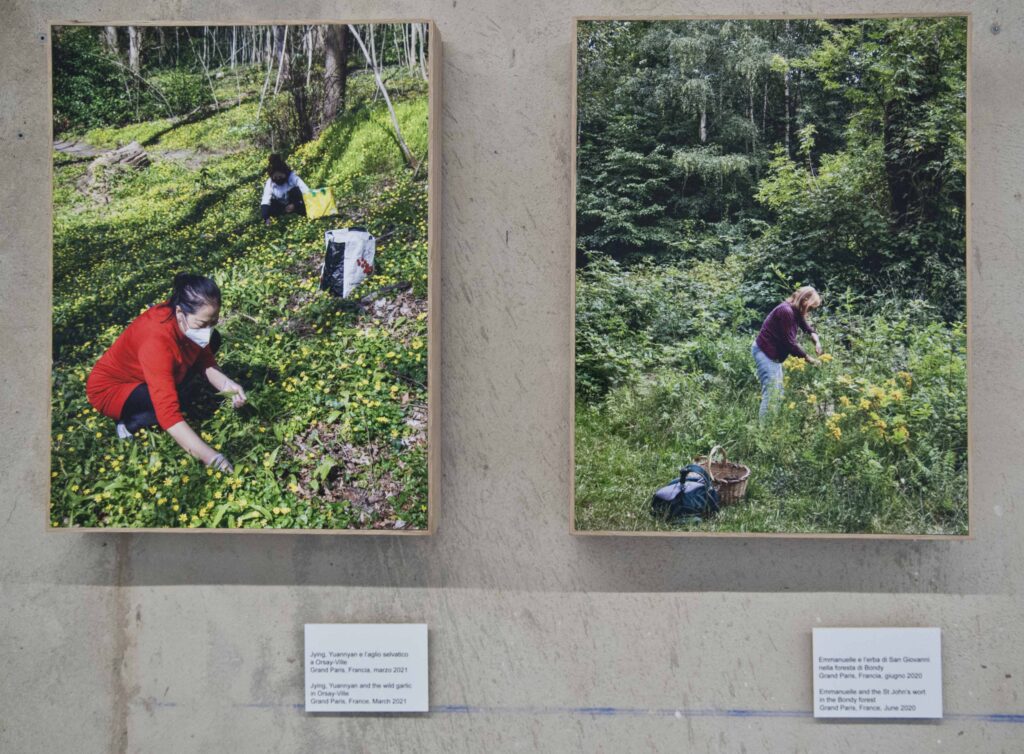 immagine per Fotografia Europea - Reggio Emilia, Geoffroy Mathieu ph. Cristina Villani