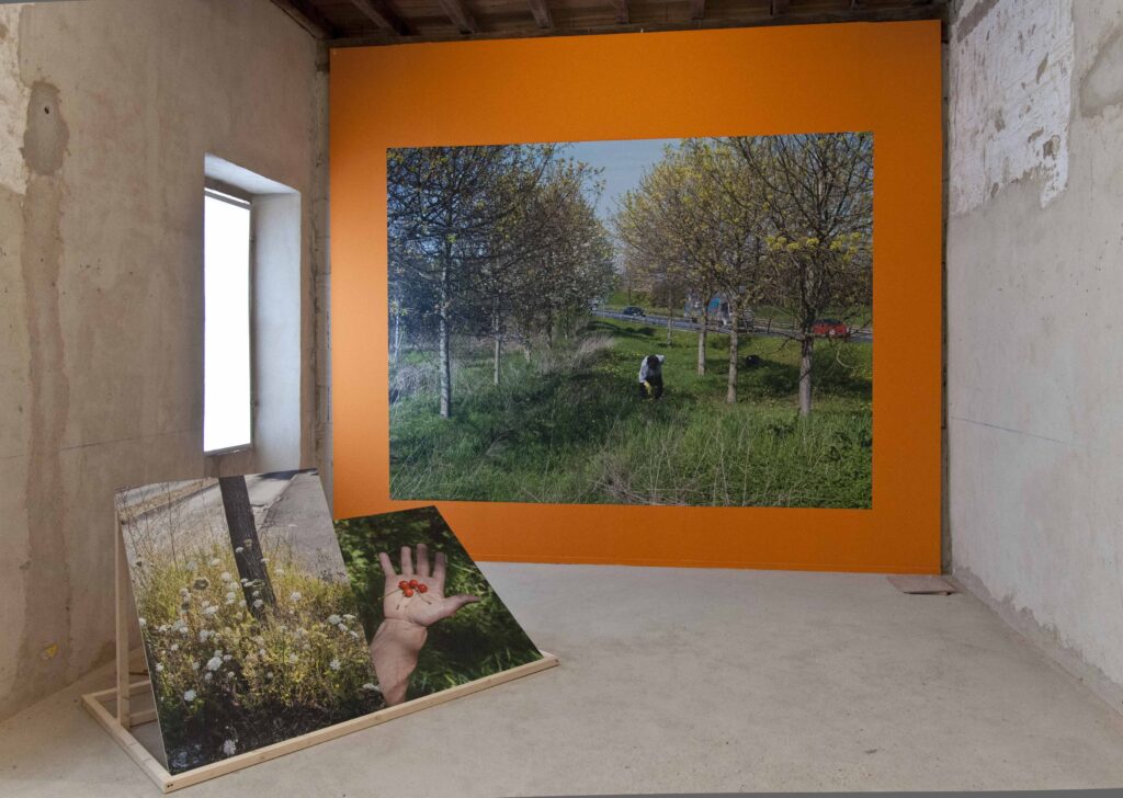 immagine per Fotografia Europea - Reggio Emilia, Geoffroy Mathieu ph. Cristina Villani