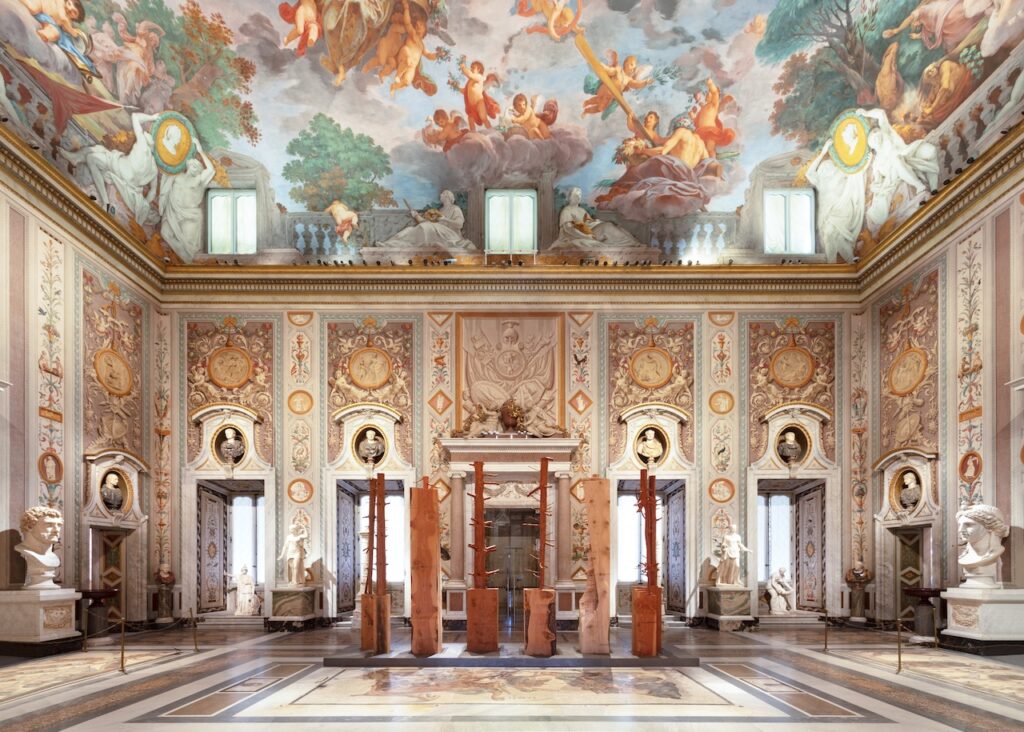 immagine per