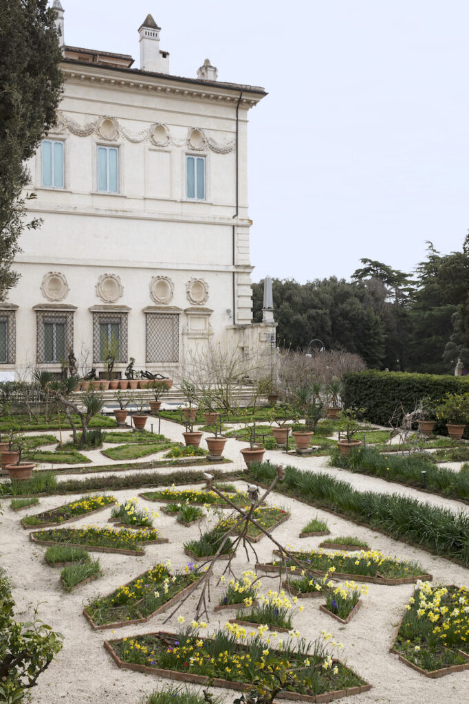 immagine per Giuseppe Penone. Gesti universali, Installation view, Gesti vegetali, Giardino dell'Uccelliera -2, Galleria Borghese, Roma - ph. S. Pellion © Galleria Borghese