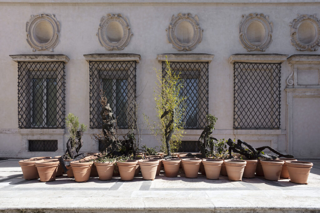 immagine per Giuseppe Penone. Gesti universali, Installation view, Gesti vegetali, Giardino dell'Uccelliera, Galleria Borghese, Roma - ph. S. Pellion © Galleria Borghese