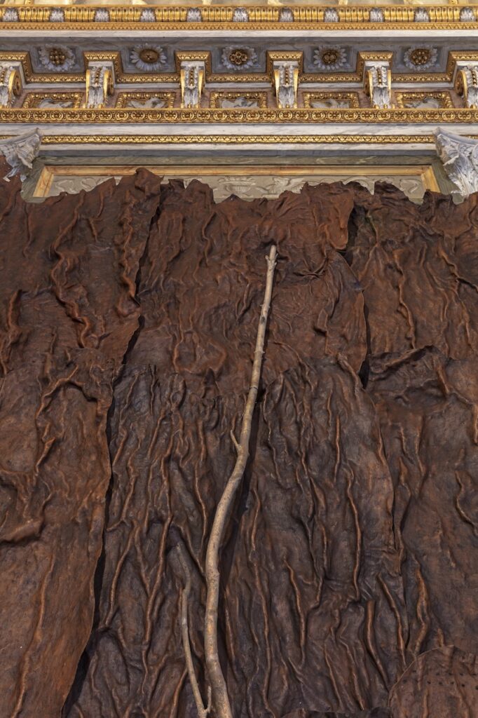 immagine per Giuseppe Penone. Gesti universali, Installation view, Pelle di cedro dett., Sala di Enea, Galleria Borghese, Roma - ph. S. Pellion © Galleria Borghese