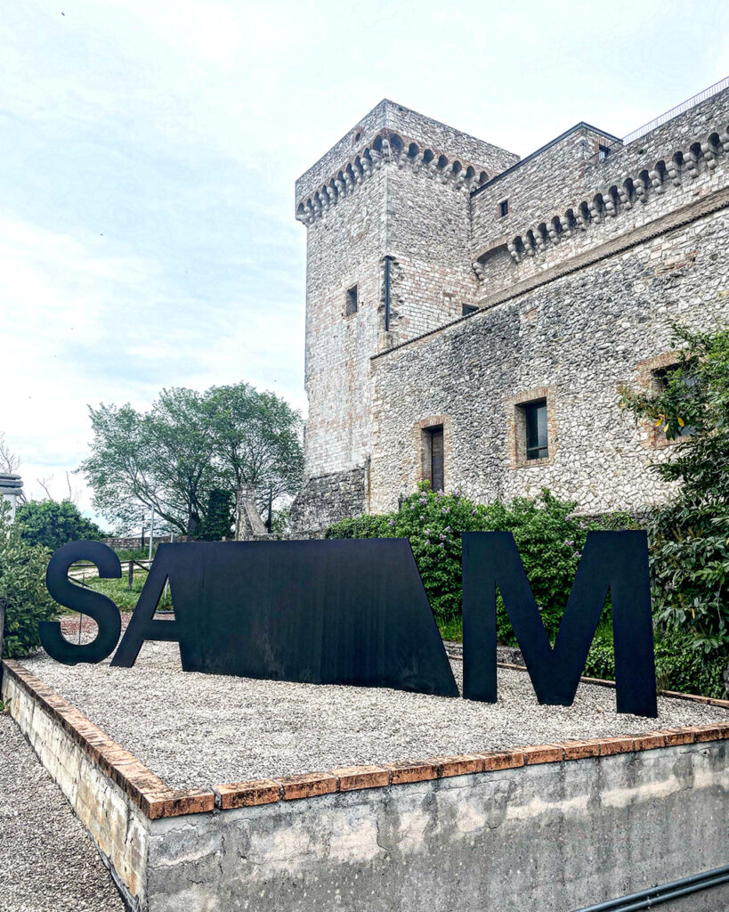 immagine per Ingresso del Museo SAM Street Art Museum, Logo