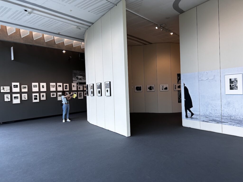 immagine per MAXXI, Un esorcismo del tempo. Foto di F. Cascino