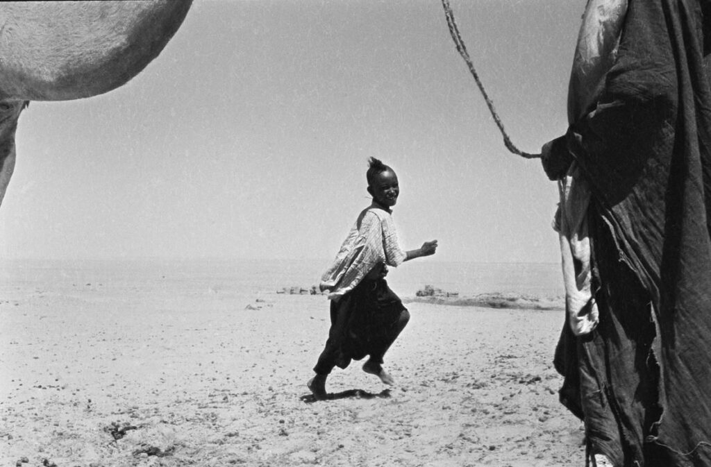 immagine per Mario Dondero, Pastori nomadi nel Sahara