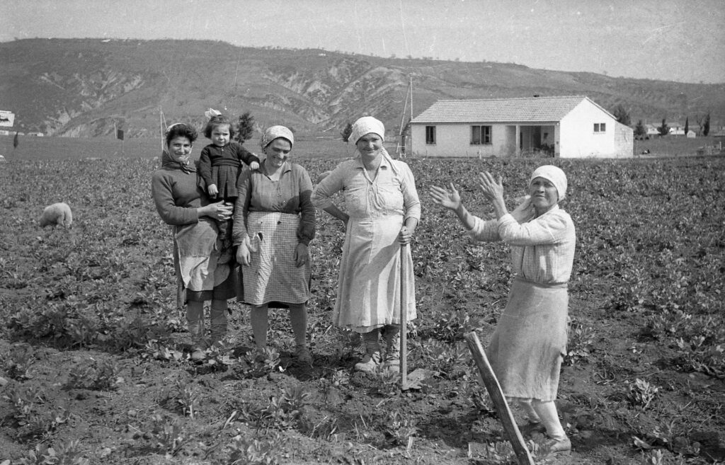 immagine per Mimi Notarangelo - Donne in campagna, Selezione MAXXI