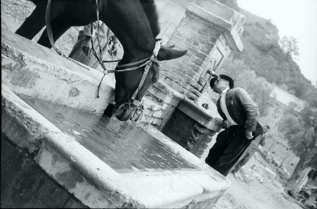 immagine per Mimi Notarangelo - Uomo acqua e cavallo, Selezione MAXXI