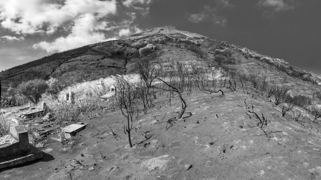 immagine per Stefano Torrione Deserto Italia