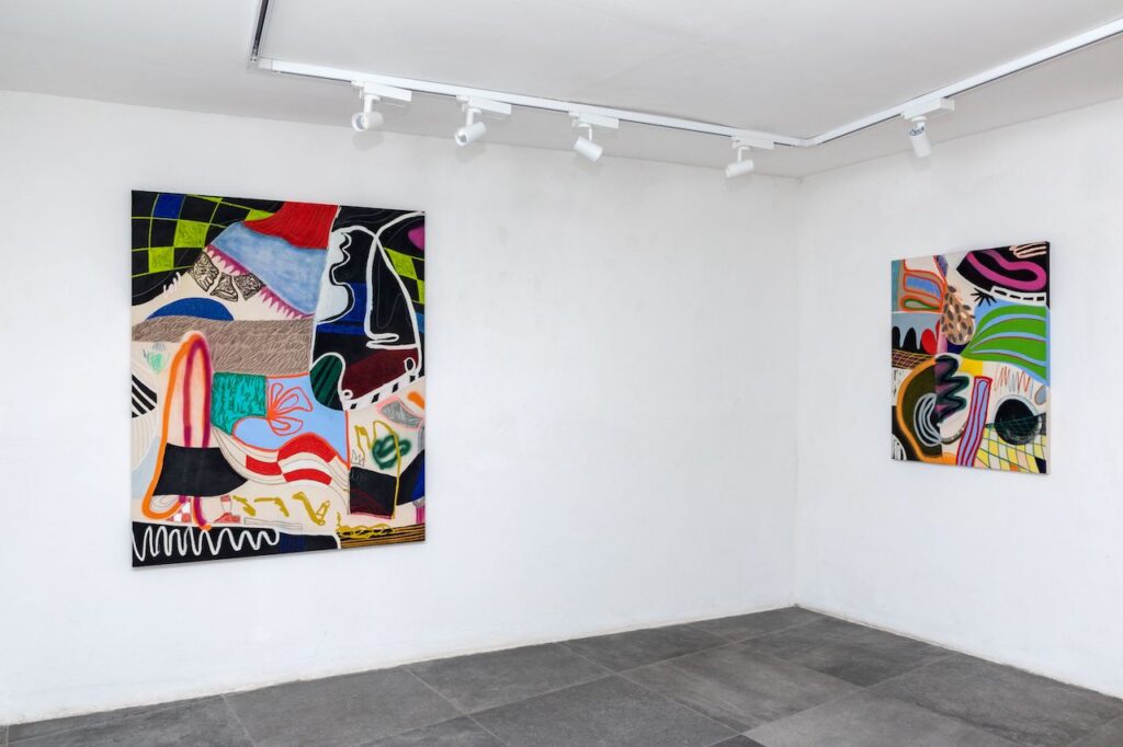 immagine per Thai Mainhard installation view