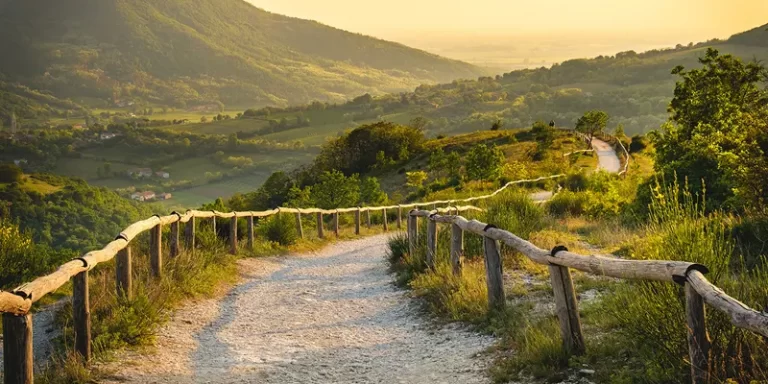 immagine per Nel nome di Petrarca, debutta l’originale Parco Letterario nei Colli Euganei