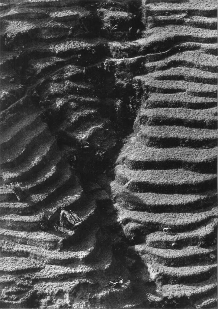 immagine per De Biasi, Terrazzamenti agricoli