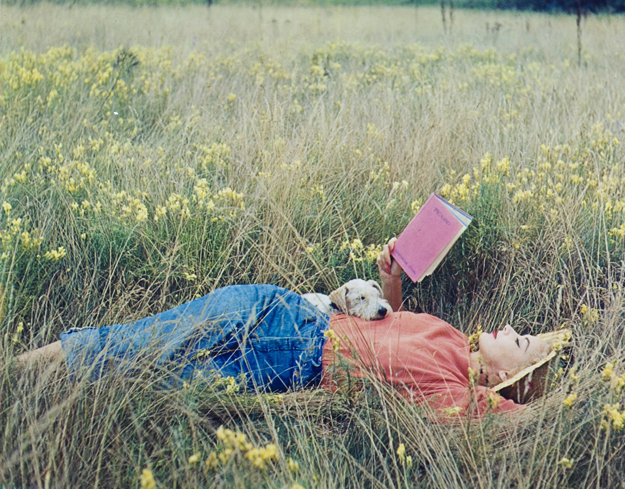 immagine per Irving Penn, Lisa Fonssagrives-Penn lying in a field of grass, reading Gertrude Stein’s Picasso book, 1952, Vogue © Condé Nast
