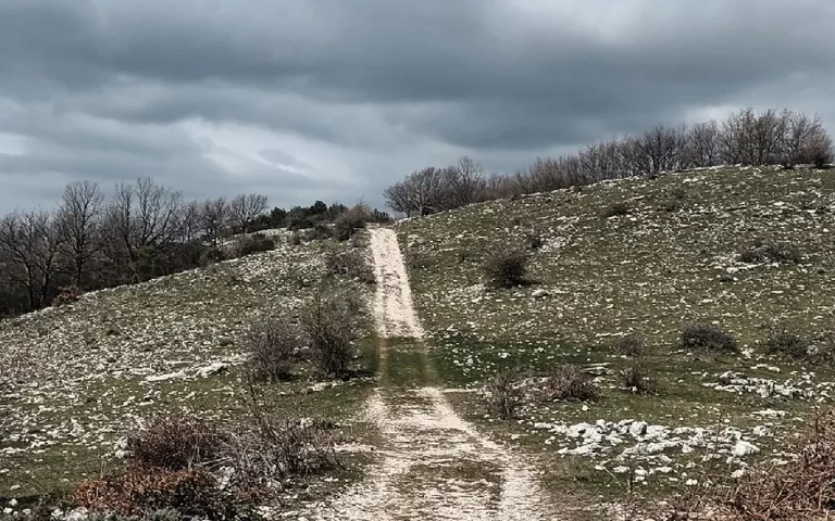 immagine per Casa Appennino, sui monti Lucretili. Nuovo luogo d'arte e d'incontro. Intervista all'artista Angelo Bellobono