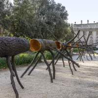 immagine per Giuseppe Penone alla Galleria Borghese parla di corpo, pelle e respiro