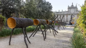 immagine per Giuseppe Penone alla Galleria Borghese parla di corpo, pelle e respiro