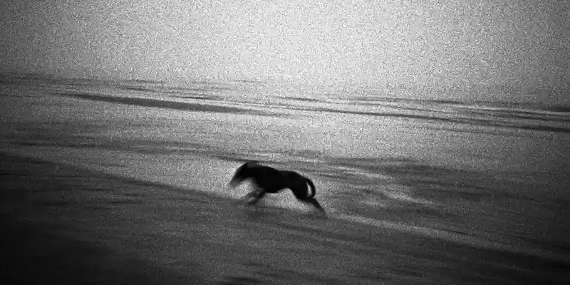 immagine per Federico Arcangeli Interzone Galleria
