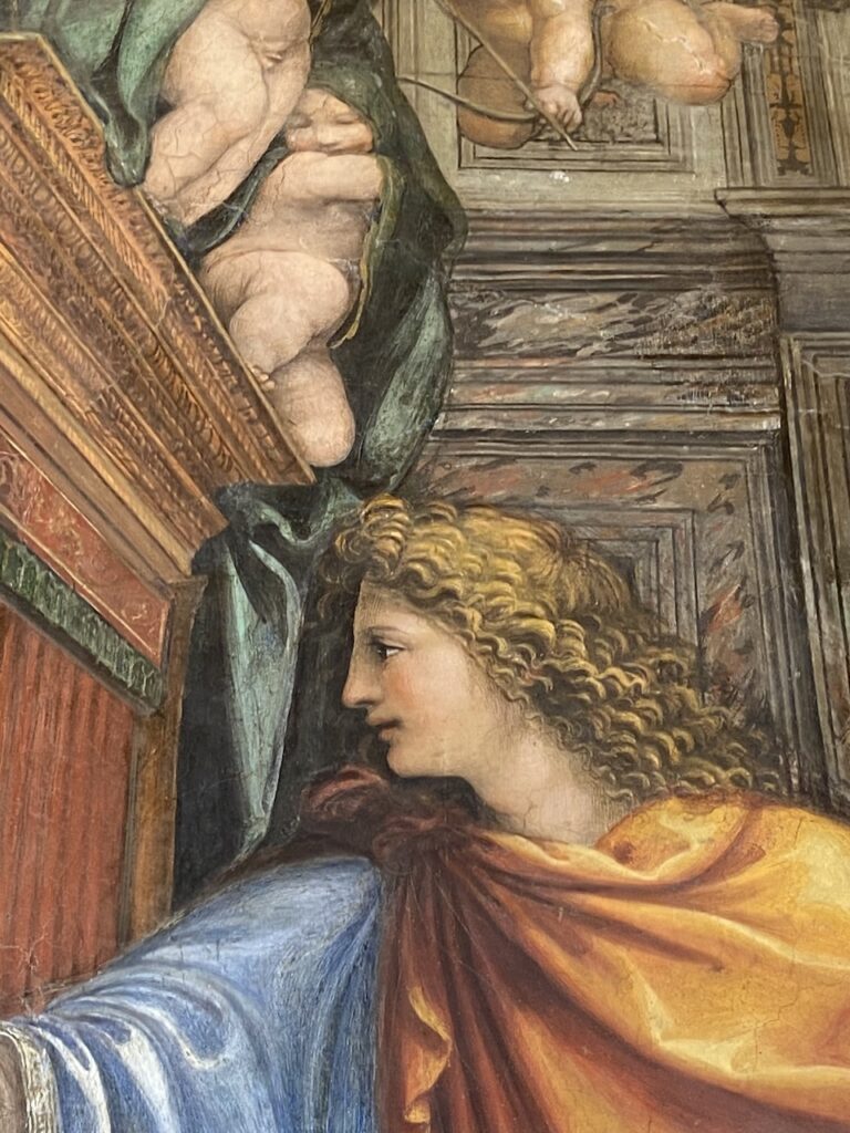 immagine per Foto 15: Stanza delle Nozze, Villa Farnesina, Roma Credits: Roberto Civetta