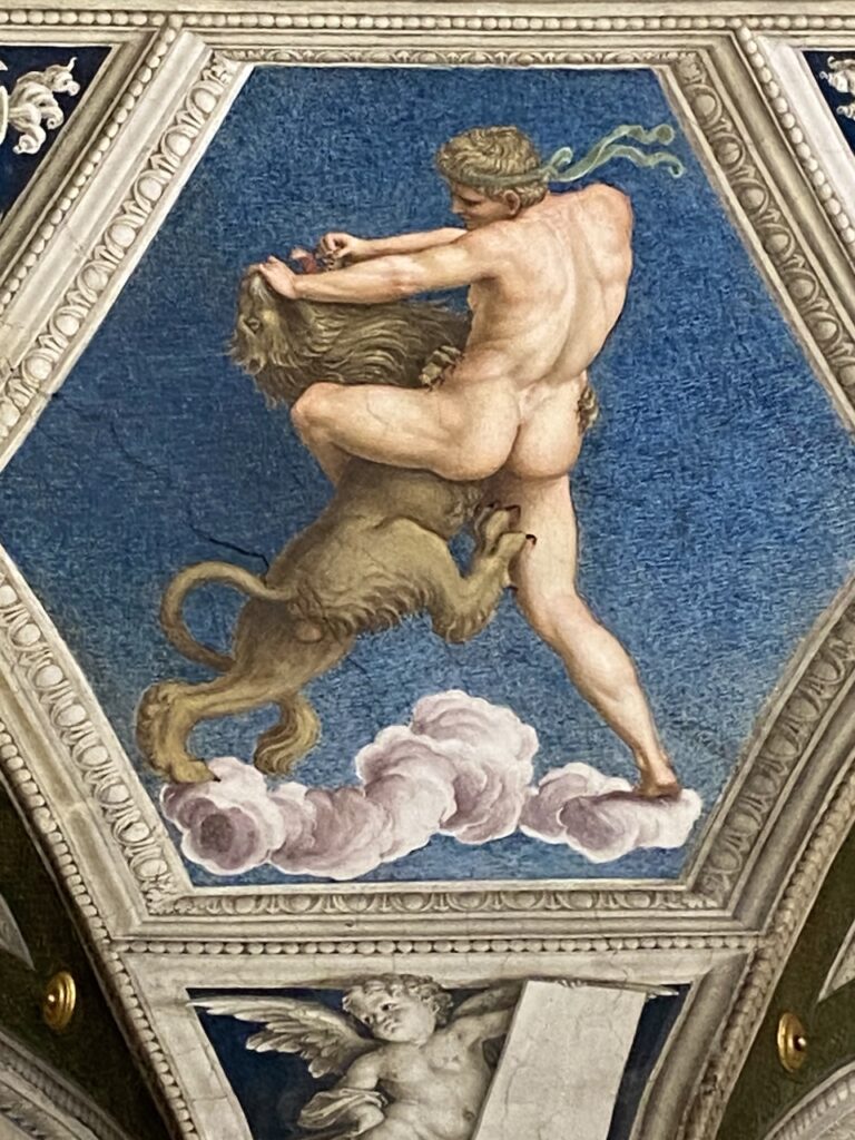 immagine per Foto 7: Villa Farnesina, Roma Credits: Roberto Civetta