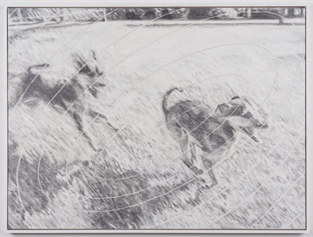 immagine per 04 Runner 2022 Graphite on gesso on wood panel 92x122