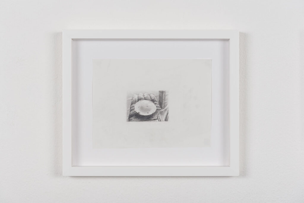 immagine per 09 Thin shell (Egg drawings series) 2023 Graphite on paper 20x27(33x40 framed)