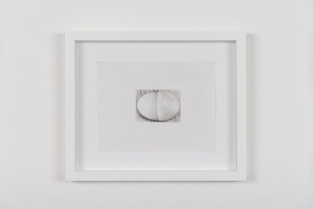 immagine per 10 Split shell (Egg drawings series) 2023 Graphite on paper 20x27(33x40 framed)