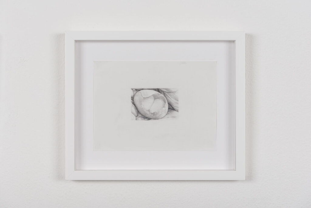 immagine per 11 Cracked shell (Egg drawings series) 2023 Graphite on paper 20x27(33x40 framed)