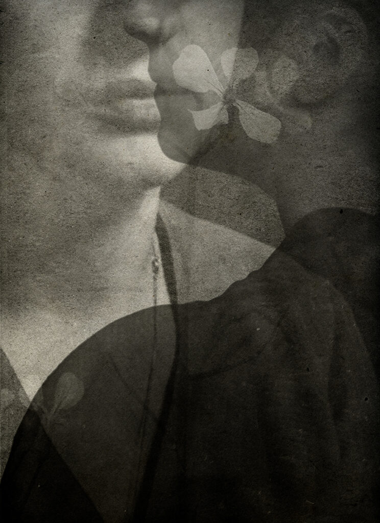 immagine per Alessandra Calò χθόνιος (il nascondiglio)2