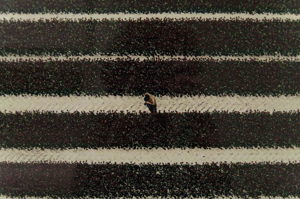 immagine per Andreas Gursky - MAST - Ohne Titel XXI (part.) -ph.Federica Casetti