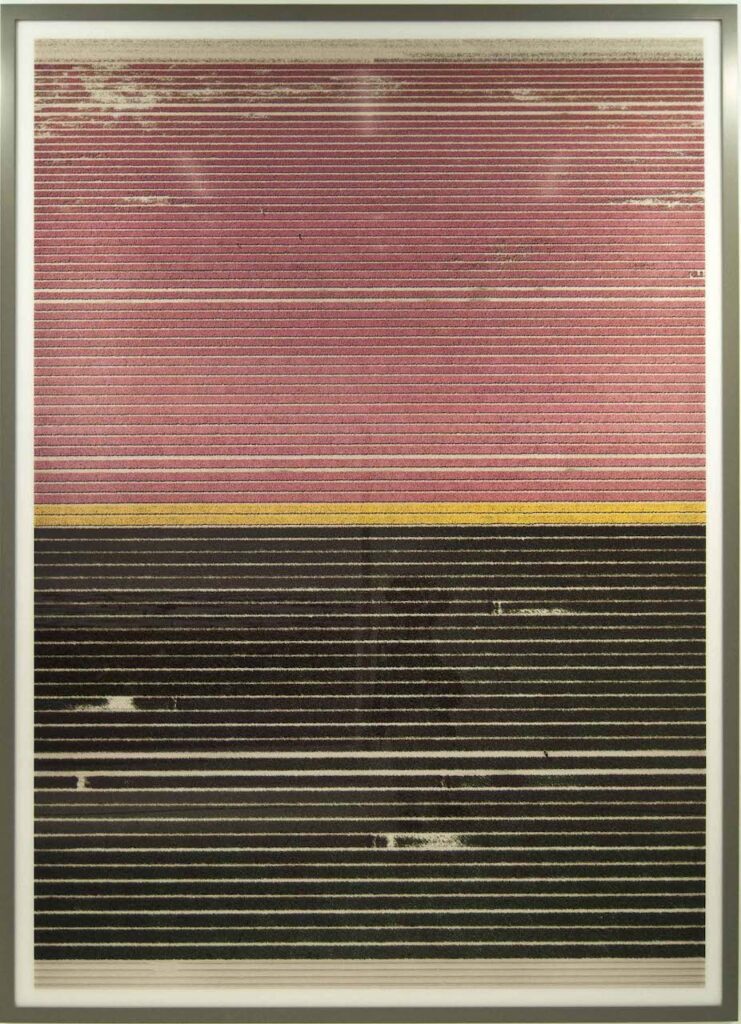 immagine per Andreas Gursky - MAST - Ohne Titel XXI -ph.Federica Casetti