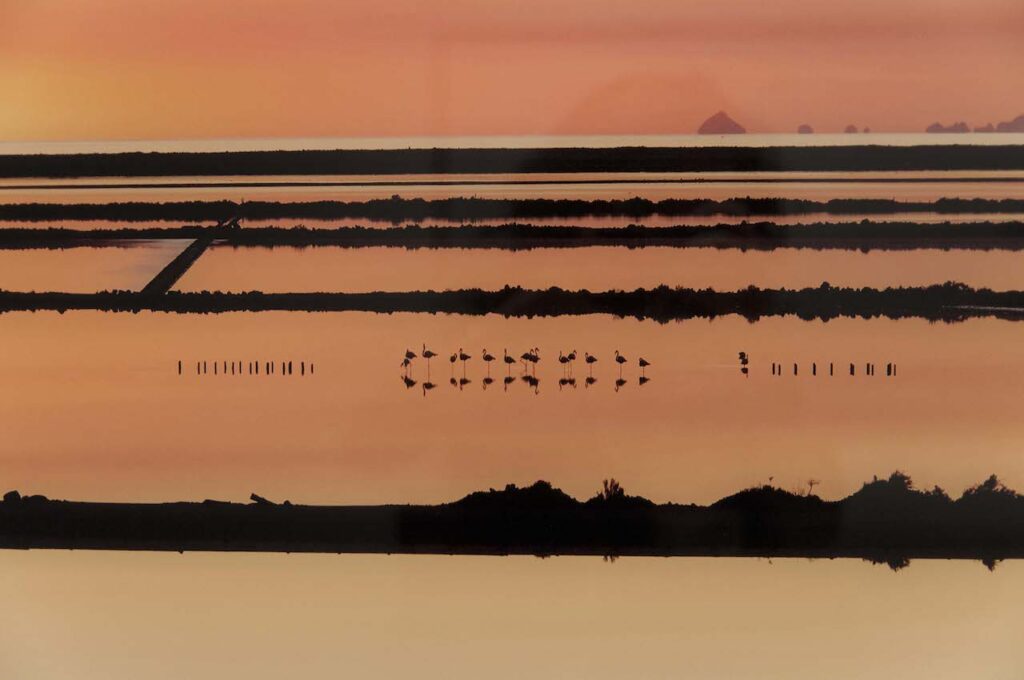 immagine per Andreas Gursky - MAST - Salinas (part.) -ph.Federica Casetti