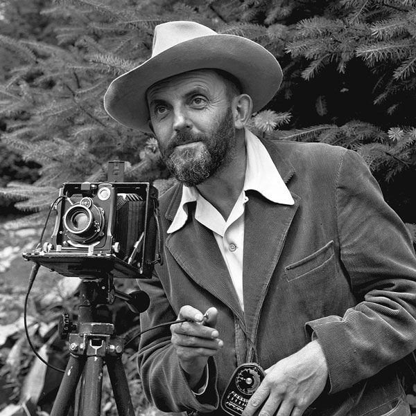 Immagine per Ansel Adams