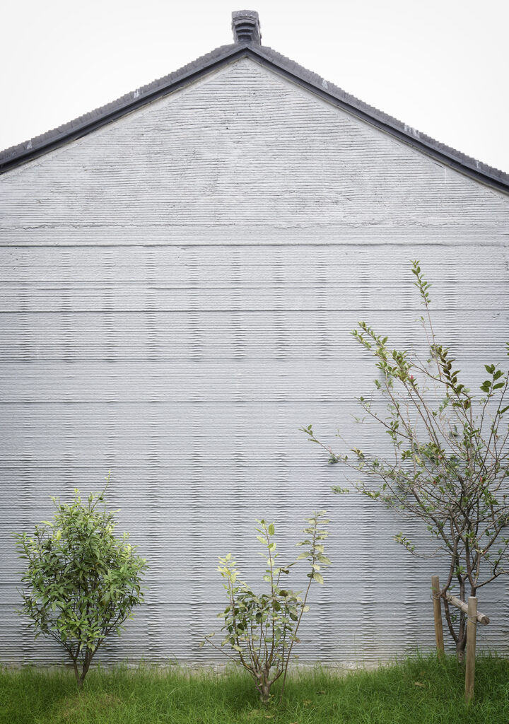 immagine per Catherine Leutenegger New Artificiality Winsun